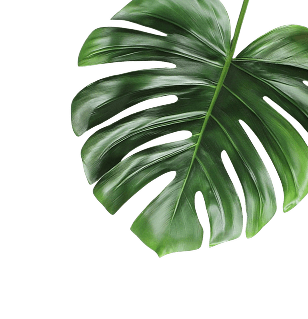 right-leaf